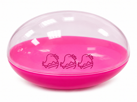 Plastic Easter Egg Storage Container with Clear Lid – Available in Blue, Pink & Green