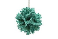 
              4" Teal Coral Ornament
            