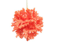 
              4" Coral Ball Ornament
            