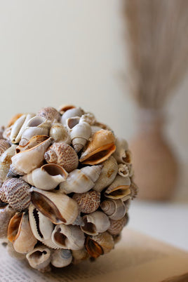 Shell Ball