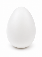 
              Decorative White Plastic Egg Vase
            