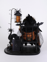 
              Lighted Spooky Story Teller Witch
            