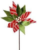 
              24" Peppermint Poinsettia Stem
            