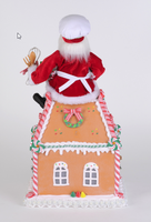 
              Lighted Homemade Goodies Gingerbread House
            