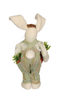
              Carrot Garden Bunny
            