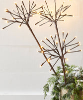 
              Lighted Brown Starburst Branches (3)
            