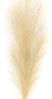 
              38" Fabric Grass Plumes Spray-Beige
            