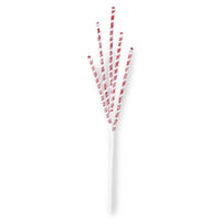 
              24" Glittered Red & White Flocked Spiral Spiked Spray
            