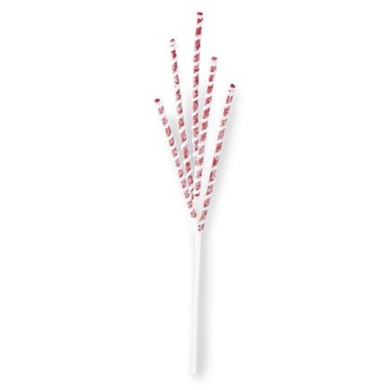 24" Glittered Red & White Flocked Spiral Spiked Spray