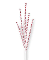 
              24" Glittered Red & White Flocked Spiral Spiked Spray
            