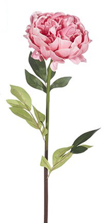 25" Real Touch Peony Stem