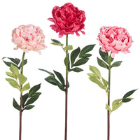 
              25" Real Touch Peony Stem
            