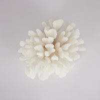 
              Faux White Coral Decor
            