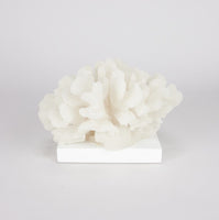 
              Faux White Coral Decor
            