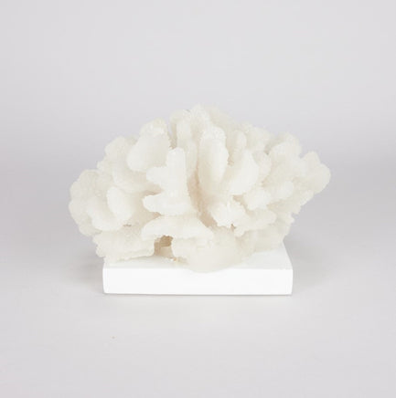 Faux White Coral Decor