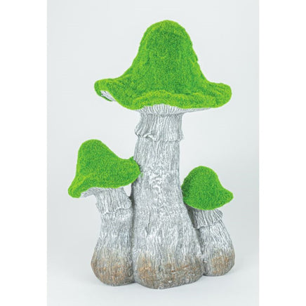 Mossy Top Mushrooms