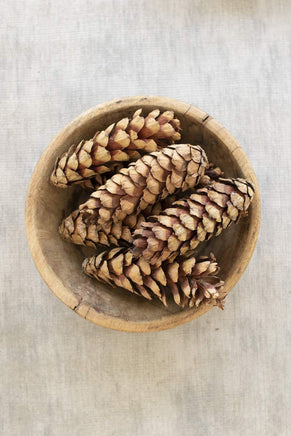 Bag of Six Pine Cones- Natural