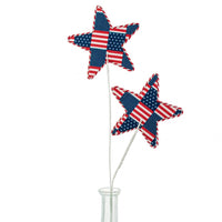 
              18" Patriotic Fabric Star Pick
            