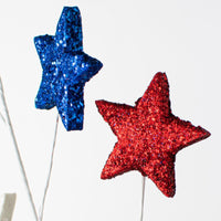 
              23" Glittered Star Spray: Red, White & Blue
            