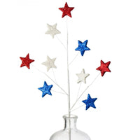 
              23" Glittered Star Spray: Red, White & Blue
            