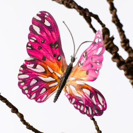 23" Butterfly Bush: Purple, Fuchsia Pink, Orange