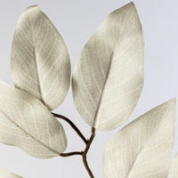 
              23" Ficus Leaf Spray: Grey
            