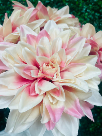 28" Pink & Cream colored Dahlia Floral Arrangement With Greenery