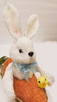 
              Flocked Easter Bunny in Carrot Car
            