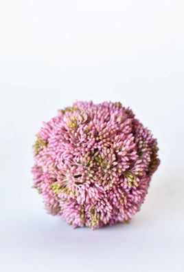 4" Mauve Sedum Balls - Set of 2