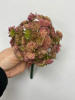 
              8.5" Plastic Pink Sedum Ball Pick
            