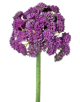 
              8.5" Plastic Purple Sedum Ball Pick
            