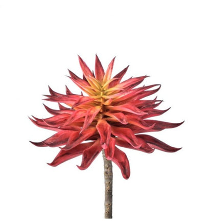 7" Red Star Succulent Pick