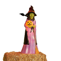 
              Blow Mold Witch
            