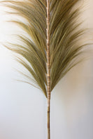 
              72" Decorative Palm Fans with Bamboo Stems
            