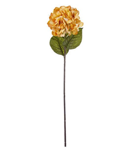 28" Honey Gold Hydrangea Stem