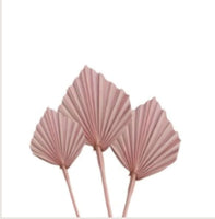 
              Blush Dried Palm Spears - Set of 5
            