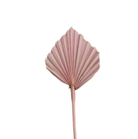 
              Blush Dried Palm Spears - Set of 5
            