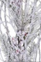 
              Christmas Snowy Tree Branch
            