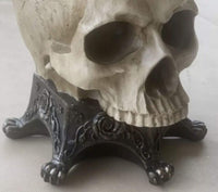 
              Skull Planter with Red Roses Halloween Decor
            