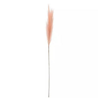 
              Pink Pastel Reed Stem
            