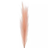 
              Pink Pastel Reed Stem
            