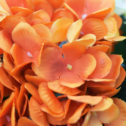 28" Burnt Orange Hydrangea Stem