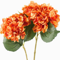 
              28" Burnt Orange Hydrangea Stem
            