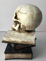 
              Light Up resin skull on a stack of spell books
            