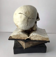 
              Light Up resin skull on a stack of spell books
            