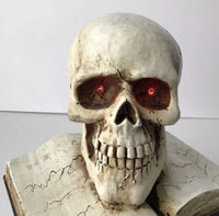 
              Light Up resin skull on a stack of spell books
            