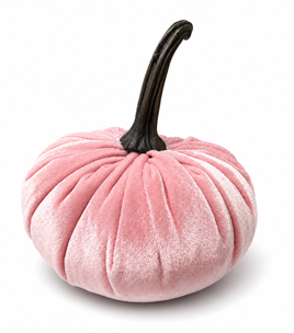 Soft pink velvet pumpkin with stem