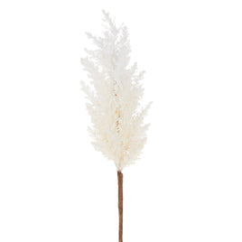 36" Pampas Grass Stem (Set of 3)