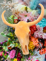 
              Flocked Longhorn Skulls
            