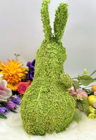 
              Straw Standing Easter Bunny-Green
            